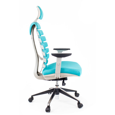 Кресло Everprof Ergo   blue