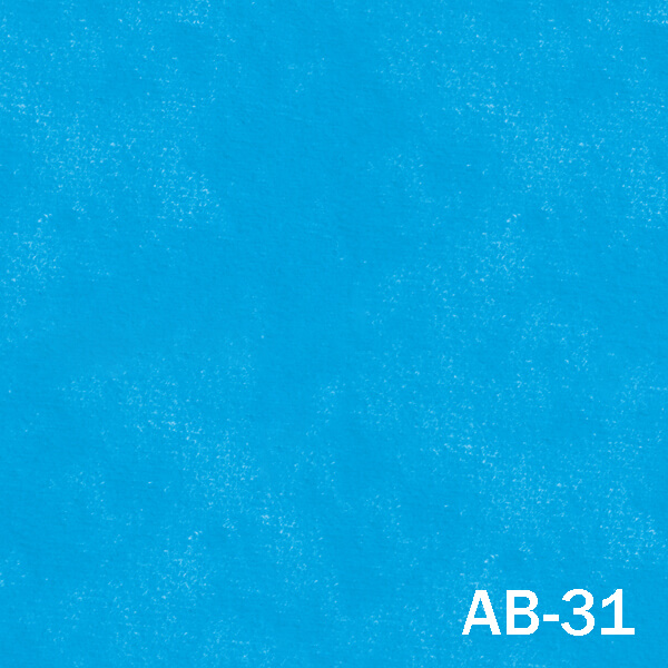 AB 31