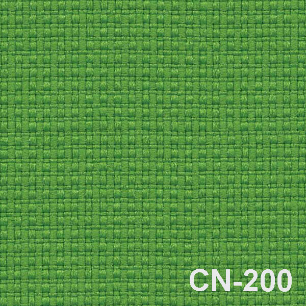 CN 200