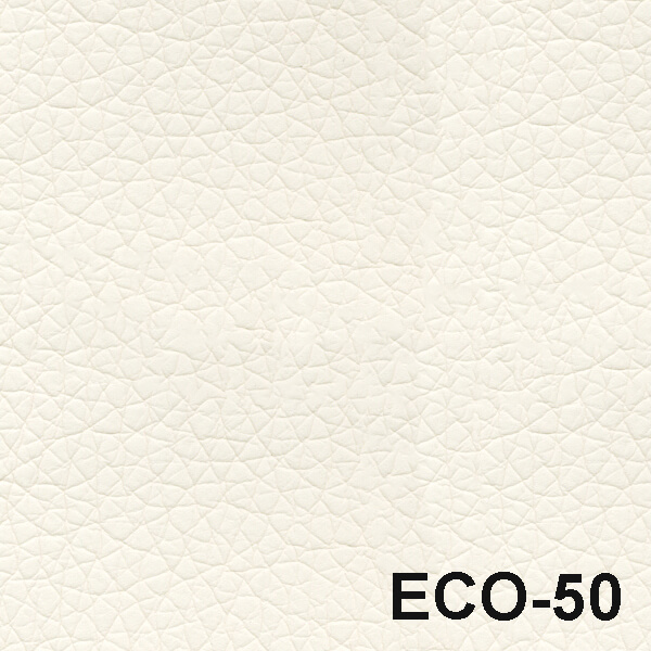 ECO 50